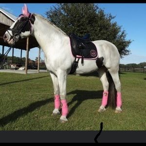 Matching Dressage Sets